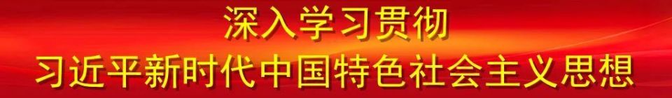 建功自贸港, tFDRG