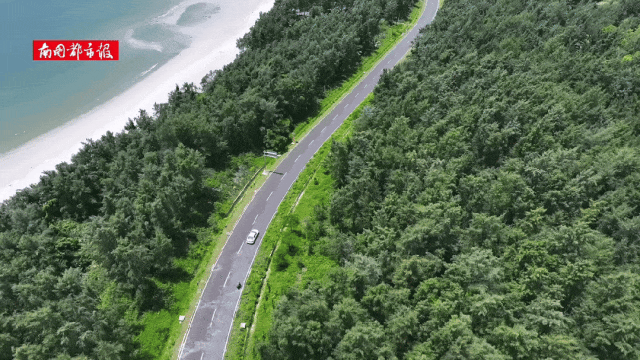 EHlLl, 将万泉河美, 平凡而伟大